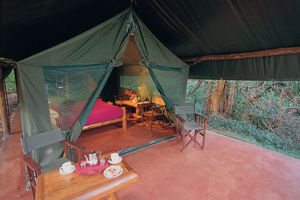 aanzicht - Siana Springs Tented Camp - Kenia