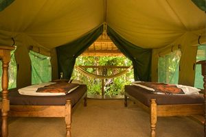 Kamer in de Masoala Forest Lodge - Masoala Forest Lodge - Madagaskar