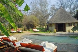 zwembad van Divava Okavango Resort - Divava Okavango Resort - Namibië