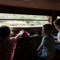 reizen met kinderen in zuid-afrika regels