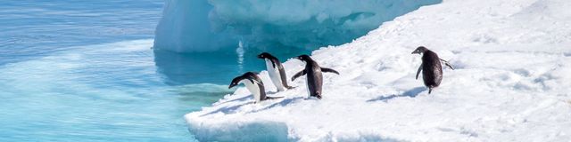 Antarctica-2-Banner.jpg