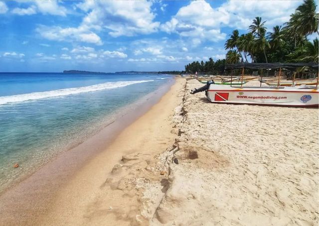 Trincomalee - Boot - Strand - palm - Sri Lanka