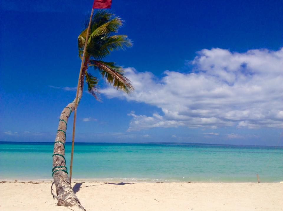 Bantayan Island - Cebu - palmboom op strand - Filipijnen - CTTO - Intas