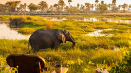 Delta Camp - veranda - Okavango Delta - Botswana