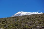 Kilimanjaro beklimming - Kilimanjaro - Tanzania - foto: Lokale agent