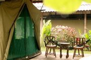 tent - Elephant Hills - Khao Sok - Thailand