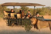 camp hwange safari vehicle - Camp Hwange - Zimbabwe